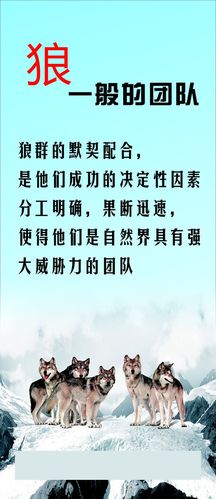 气瓶标识牌亚娱体育(气罐标识牌)